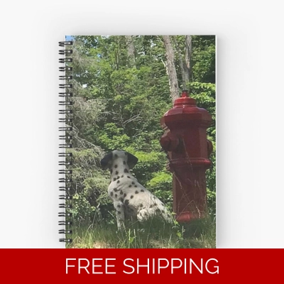 Le Studio Spiral Notebook Rush Signals Monument Back